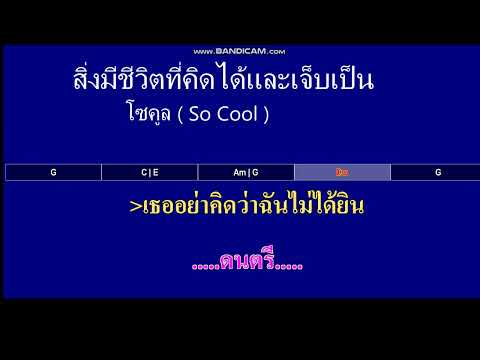 สิ่งมีชีวิตที่คิดได้และเจ็บเป็น - โซคูล  ( คาราโอเกะ MIDI KARAOKE คอร์ดง่ายๆ )