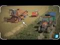 ✔︎"Let's Play"│FS22│🌾ŻNIWA PSZENICY & PRASOWANIE😍RYK BIZONA💪BIZON Z058 REKORD🇵🇱POLSKA WIEŚ ▶︎KRAJÓW