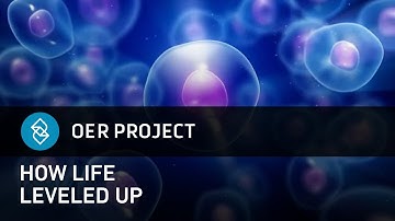 How Life Evolved on Earth: A Big History