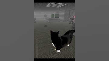 Thumbnail of 🐱 #roblox #saktkia51 #shorts