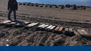 Performance of Cracked High-Performance Concrete in a Harsh Marine Environment