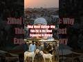 Qurbani Animal Prices Out of Reach This Year #eid2026 #inflation #thewishbrief