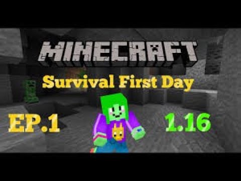 Minecraft 1.16 survival ქართულად! პირველივე ეპიზოდში ალმასები!!!