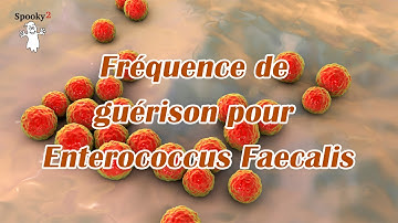 Fréquence de guérison pour Enterococcus Faecalis - Fréquence de Guérison Spooky2 Rife