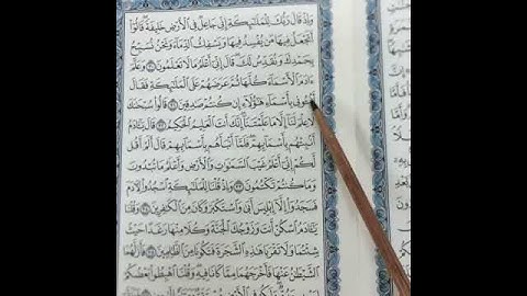 مقاطع لتصحيح التلاوة •(11)