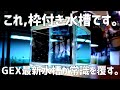 【最速レビュー】フレーム水槽の問題点を消し去った次世代の枠付水槽。GEX最新水槽を徹底レビュー&最新ライトも検証!! 金魚元気ぶくぶくクリア FLATTY POWER150 #641【アクアリウム】