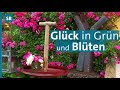 Hinterm Gartenzaun - Von Traumgärten und Gartenträumern