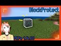 BlockProtect ปลั๊กอิน - Minecraft PE 1.14.60