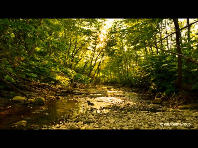 【癒し】川のせせらぎとひぐらしの鳴き声3時間版/作業用BGM・勉強用BGM