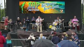 Fins - Sons of Pirates & the Big Buffett Beach Band