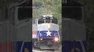 Trespasser crosses tracks in front of Amtrak Piedmont Train 72.