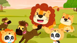 Little Panda Animal Family | Explore the Animal World | Babybus Gameplay Video screenshot 5