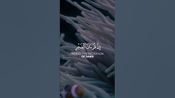أقم الصلاة لدلوك الشمس | فارس عباد سورة الإسراء #سورة