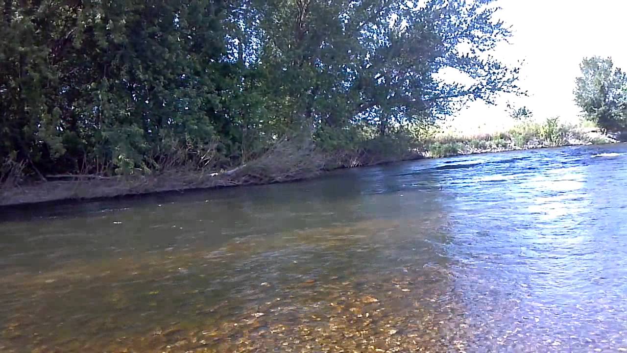 Canoe Trip from Star Idaho on the Boise River YouTube