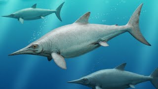 New Ichthyosaur Discovered...
