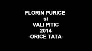 Florin Purice & Vali Pitic - Orice tata ( Oficial Audio )