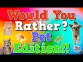 Would you rather fitness pet edition  this or that  animals  pe  movement