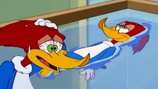 Woody Hides From the Heat 🥵 | Woody Woodpecker