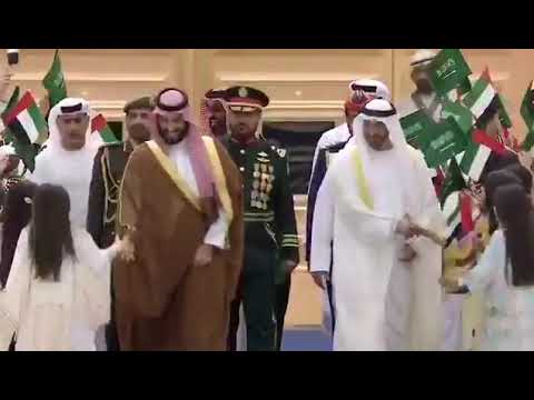 أرادت مصافحته فلم ينتبه لها هذه قصة عائشة التي زارها محمد بن زايد