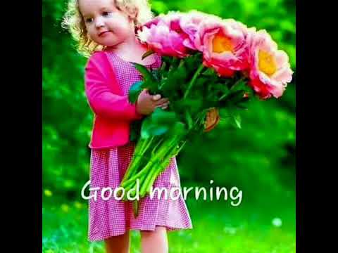 Good Morning Flower Youtube