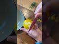 Такого вы точно не пробовали. Освежающий лимонад с розмарином