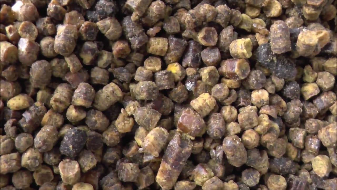 Pozyskiwanie pierzgi