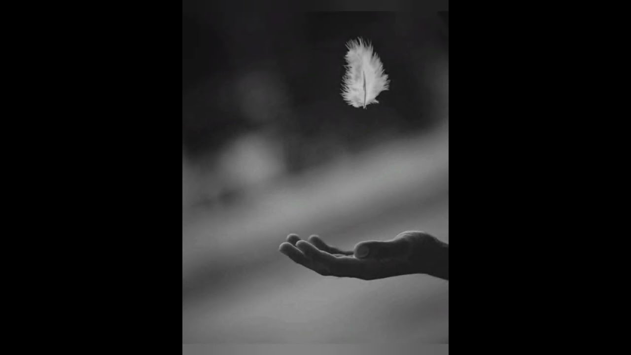 Lubię z Tobą @Maeve3112 