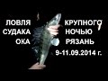 Ловля судака крупного щуки ночью Ока Рязань 8-10.09.2014 год