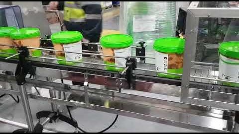 Adjustable Belt Driven Lid Press - Large Plastic Paint Pots (Automated Capping)