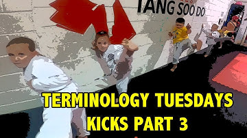 Terminology  Tuesdays - Kicks Part 3