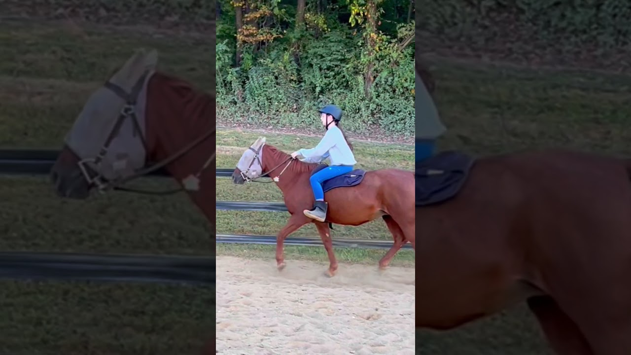 This bareback pad saved my life🥲 