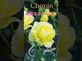 ショパン ワルツ第1番「華麗なる大円舞曲」変ホ長調Op.18 ショートBGM #chopin #ショパン #ピアノ #リラックスピアノ #クラシック