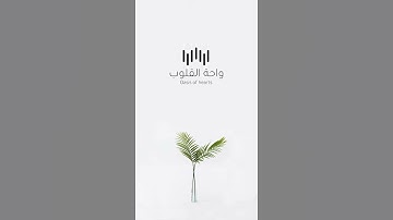 تلاوة رائعة بندر بليلة ما تيسر من سورة البقرة