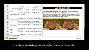 innerHTML ve textContent Arasındaki Fark (Bilgisayar Programlama)