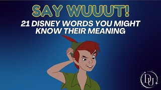 Disney Words and Phrases Explained!