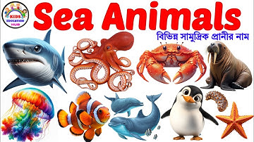 Sea Animals Namea🐳🐠🦈 | Sea Animals for Kids | Sea Animals Name Bengali to English | Animals Name