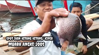 mantap nya tarikan ikan kiper/Ketang ketang di muara Angke