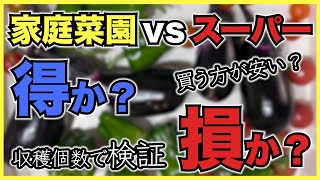 【検証】家庭菜園はスーパーで野菜を買うより得か損か?節約できるか?【収穫個数と費用でシミュレーション】