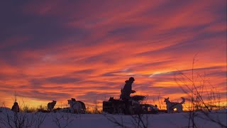 Ladridos del sur 2018 Mushing Documental