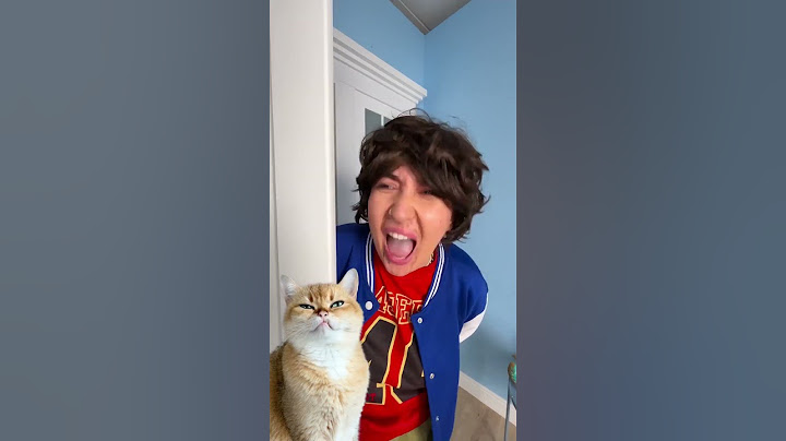 😎 I Outsmarted My Bully Brother and Stole His Candy! 🤫🍭 #cat #reaction