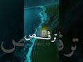 صحاب الكيتمان يا نوضوها ترقص يا معليش ان نخلص صحاب الكيتمان يا نوضوها ترقص يا معليش ان نخلص