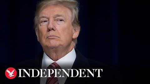 Live: Trump reacts to US election results