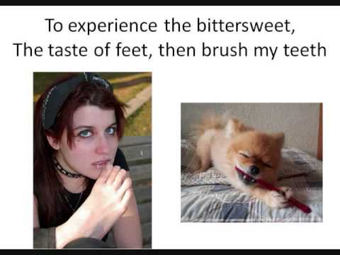 Misheard Lyrics Mash Up Round 4