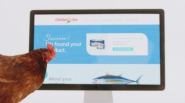 Chicken Traceability?!