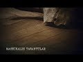 Capture de la vidéo Machinalis Tarantulae - Rot