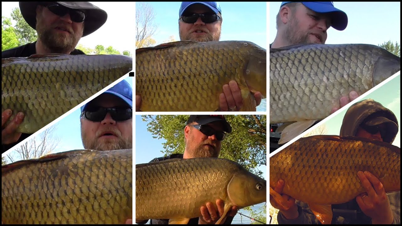 My Best BIG CARP Fishing Sessions of 2021 Full Fishing Movie YouTube