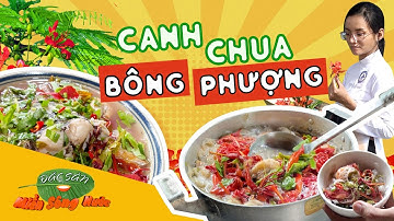 Lạ lùng CANH CHUA BÔNG PHƯỢNG - Món lạ mà quen, thanh chua mát dạ| Đặc sản miền sông nước