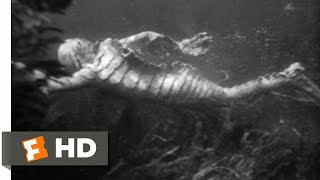 Creature from the Black Lagoon (7\/10) Movie CLIP - Underwater Hunt (1954) HD