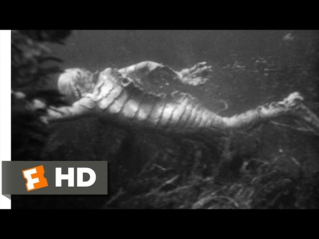 Watch film Creature from the Black Lagoon | Underwater Hunt (7/10)