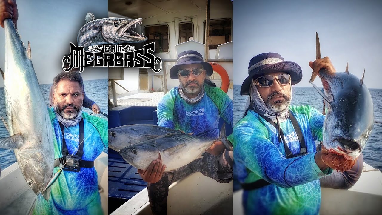DAIWA CERTATE LT 2019 Bonito & King Mackerel Fish Non stop Action